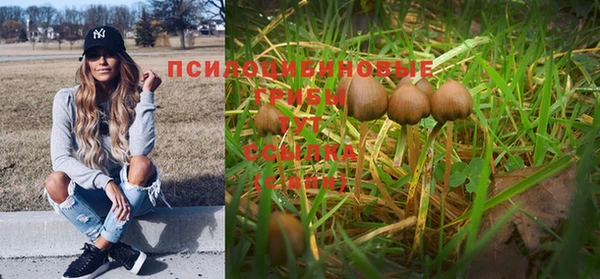 первитин Липки