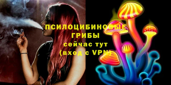 сатива Кулебаки